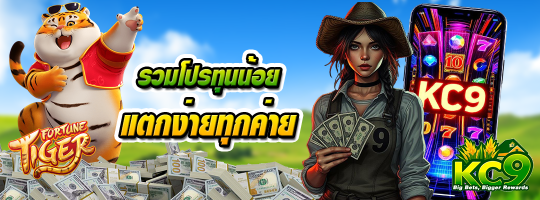 รวมโปรทุนน้อย แตกง่าย